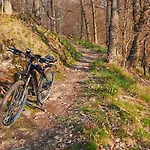 Feriehus Nr 51, Typ B, Blauvogel, Hasselfelde, Harz