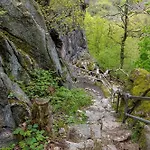 Feriehus Nr 51, Typ B, Blauvogel, Hasselfelde, Harz
