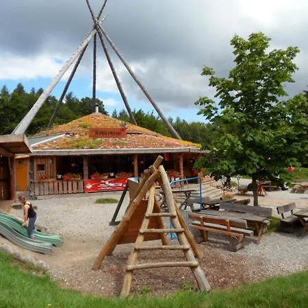 Nr 51, Typ B, Blauvogel, Hasselfelde, Harz Hasselfelde