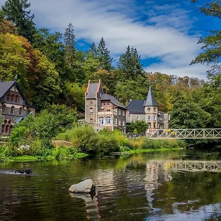 Nr 51, Typ B, Blauvogel, Hasselfelde, Harz - B50651 Ferienhaus *