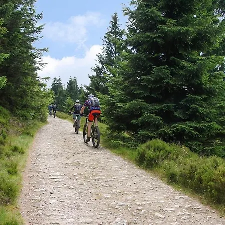 Nr 51, Typ B, Blauvogel, Hasselfelde, Harz Сasa de vacaciones *