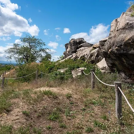 Nyaraló Nr 51, Typ B, Blauvogel, Hasselfelde, Harz Hasselfelde