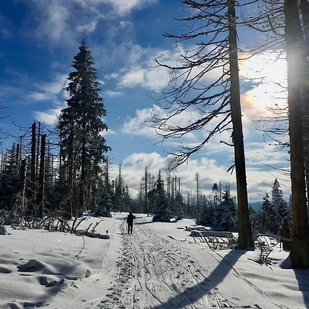 Nr 51, Typ B, Blauvogel, Hasselfelde, Harz *