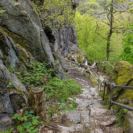 Сasa de vacaciones Nr 51, Typ B, Blauvogel, Hasselfelde, Harz
