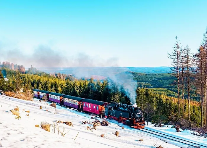 Nyaraló Nr 51, Typ B, Blauvogel, Hasselfelde, Harz *