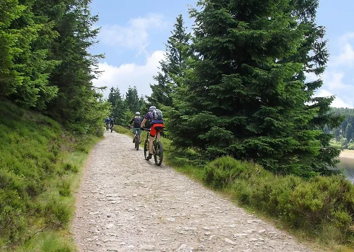 Nr 51, Typ B, Blauvogel, Hasselfelde, Harz Nyaraló *