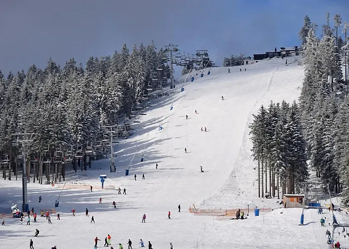 Nr 51, Typ B, Blauvogel, Hasselfelde, Harz Nyaraló *