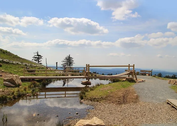 Nr 51, Typ B, Blauvogel, Hasselfelde, Harz