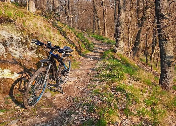 Nyaraló Nr 51, Typ B, Blauvogel, Hasselfelde, Harz