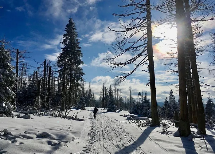 Nr 51, Typ B, Blauvogel, Hasselfelde, Harz *