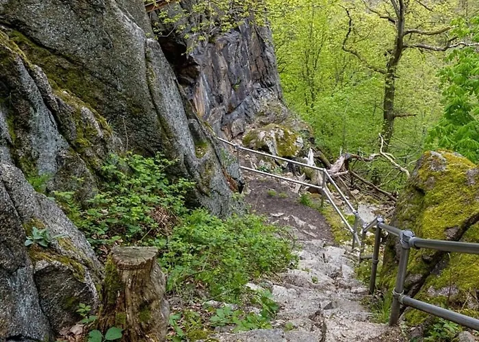 Nyaraló Nr 51, Typ B, Blauvogel, Hasselfelde, Harz